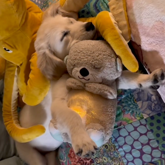 The SnuggleStory™ Calming Breathing Teddy