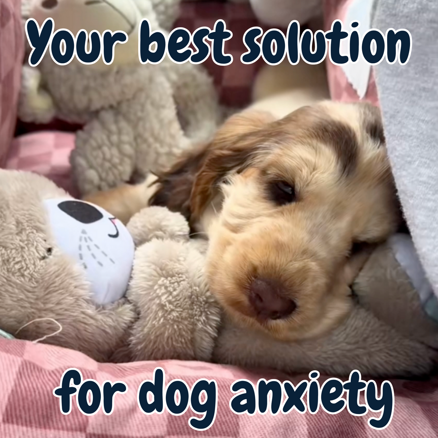The SnuggleStory™ Calming Breathing Teddy